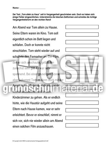 Tom-allein-zu-Haus-Fehler-suchen.pdf